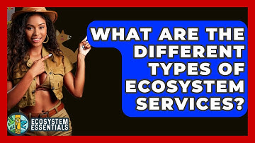 What Are the Different Types of Ecosystem Services? - Ecosystem Essentials