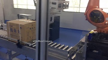 Robot arm packing and sealing, palletizing automation line