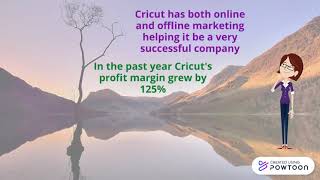 Product audit