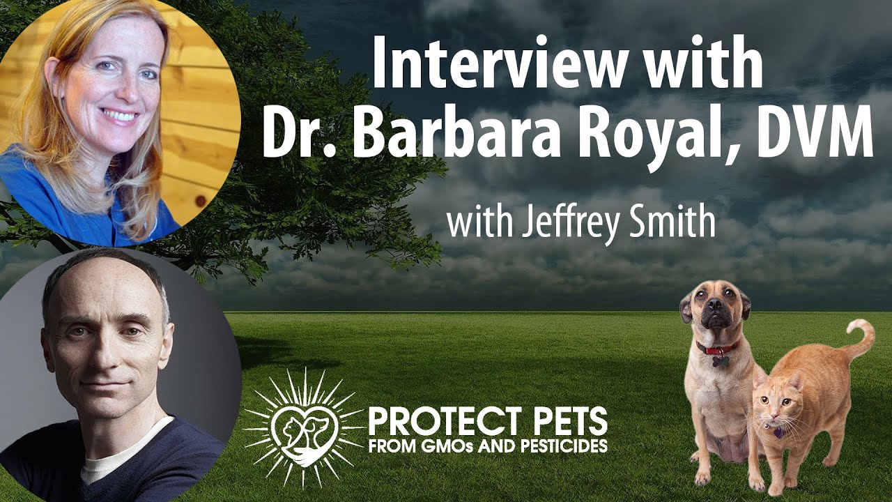 Jeffrey Smith's Exclusive Interview with Dr. Barbara Royal, DVM, Oprah
