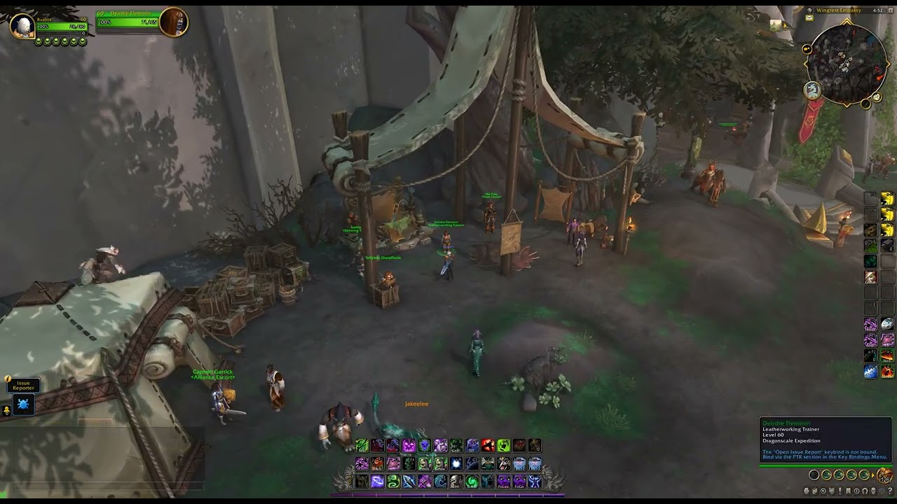 Dragon Isles Leatherworking Trainer @ The Waking Shores, WoW Dragonflight