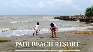Crab Hunting at Padi Beach Resort Oton | Kleeable by The Nature Nomad 34 views 2 years ago 3 minutes, 48 seconds