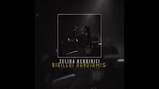 Zeliha Kendirici - Birileri Kandırmış (Trap Remix) Resimi