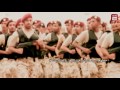 شيلة قبيلة الأنصار شيلة قبيلة الأنصار