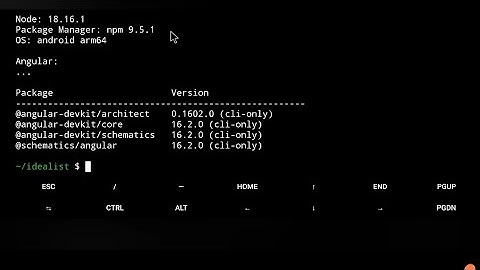 How to create basic Angular project on Termux & Android