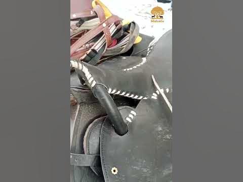 Ат әбзелдері сатылады Павлодар қаласы, Жетекші ауылы, доставка бүкіл KZ ...