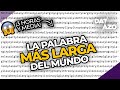 LA PALABRA MÁS LARGA DEL MUNDO (y la más larga en español) | #DATAZO