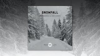 Snowfall [Another Life Music] mixed by Downgrooves & Chris Sterio