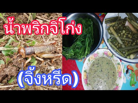 น้ำพริกจิโก่ง(จิ้งหรีด)อาหารพื้นบ้านของภาคเหนือ