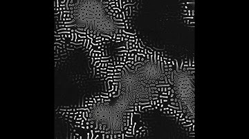 Paradoxal - Just [LKMV005]