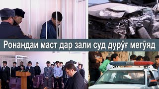 картинка: Ронандаи маст дар Суд дуруг мегуяд, аммо...
