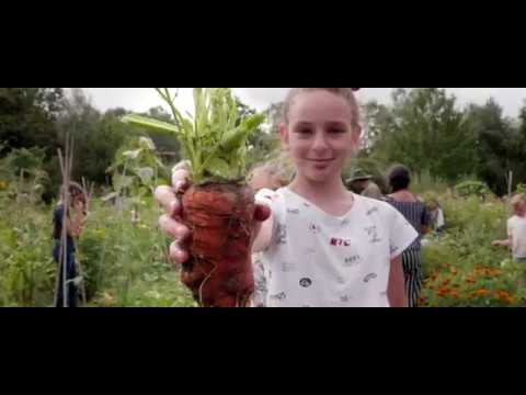 Video: Leer over schooltuinen - Tips voor het maken van een schooltuin voor kinderen