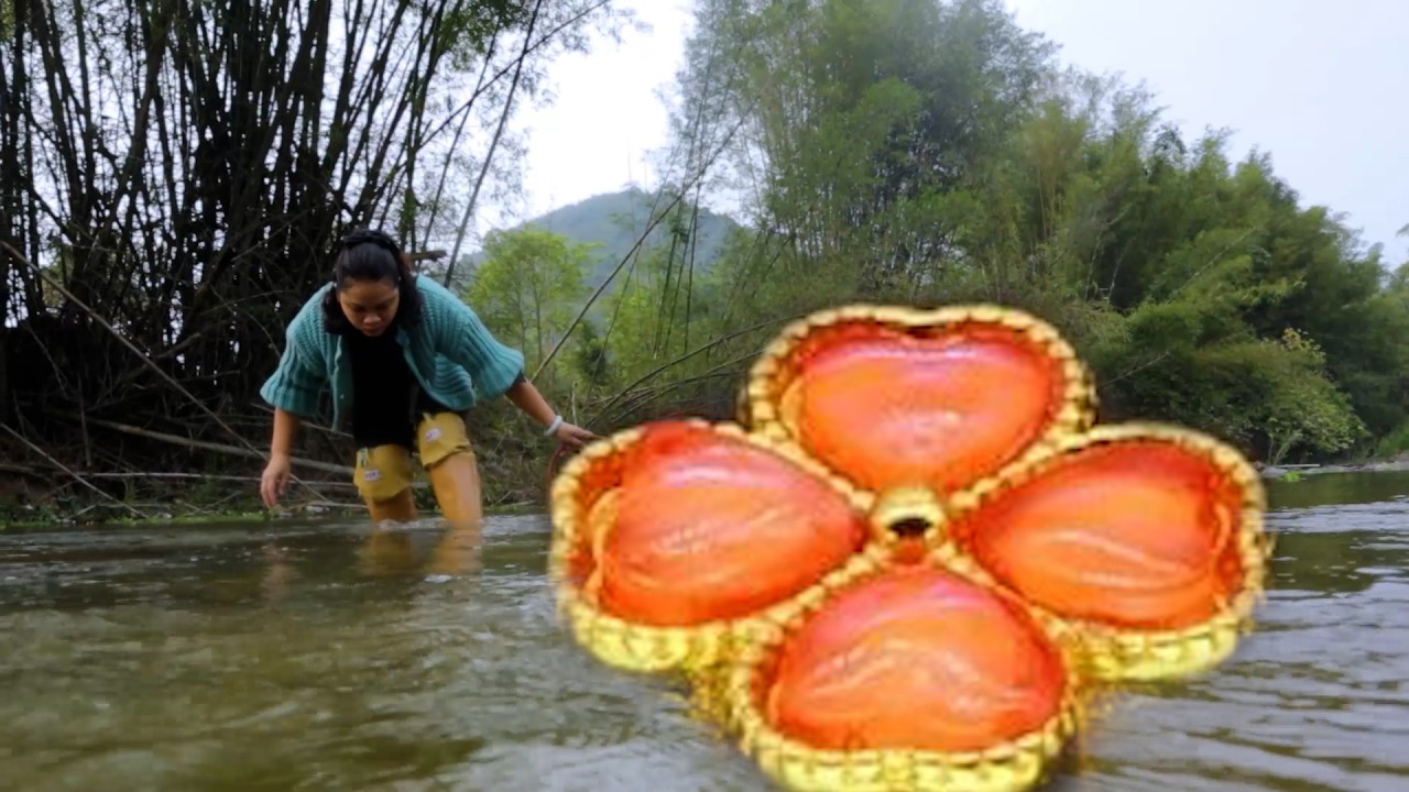🐚🐚  Surprise of seashells! Girl's exploration reveals rare treasure hidden for a century