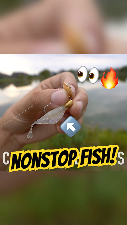 This Tiny Bait ALWAYS Catches Fish 👀🔥 #fishing