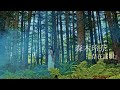 【MV】存在証明/森木玲奈 Proof of existence/Rena Moriki