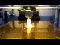Archer model printed on a Solidoodle 2 3D printer