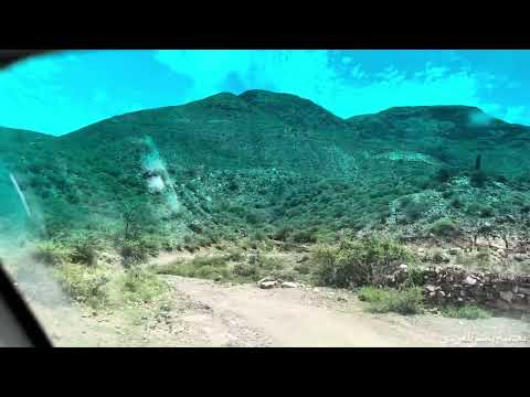 صوت شجي إلا يا رياح الجنوب