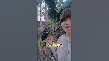 Cây chuối mệt cả năm vì bị đổ lỗi