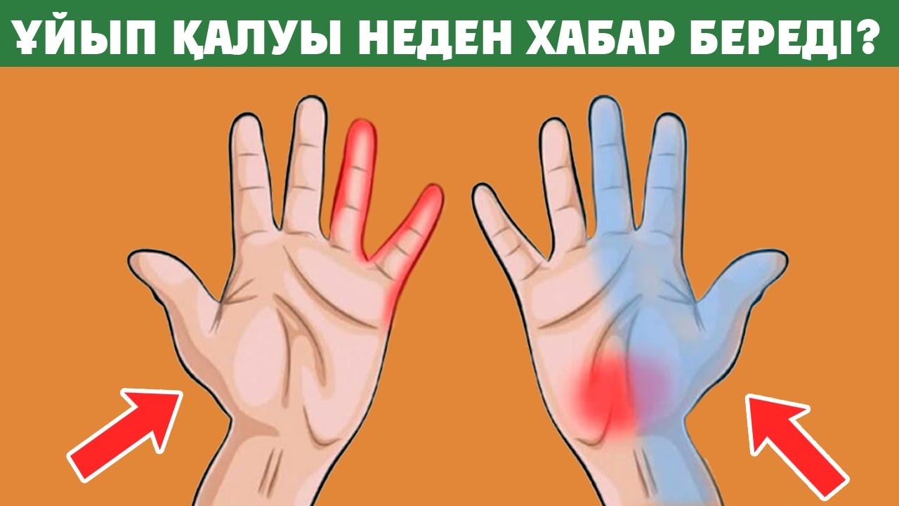 Қыз мылтықты таптайды Шешеннің қыздары шұбар