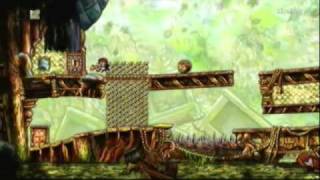Braid World Record 2/3 (29 mins)