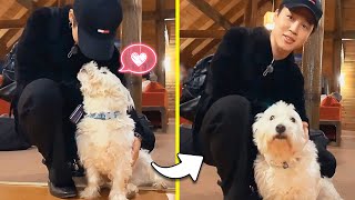 How BTS Jimin Treats Animals (Cute Cat Moments)