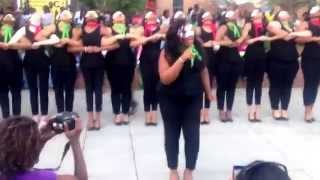 Alpha Kappa Alpha Spring 2014 at JCSU