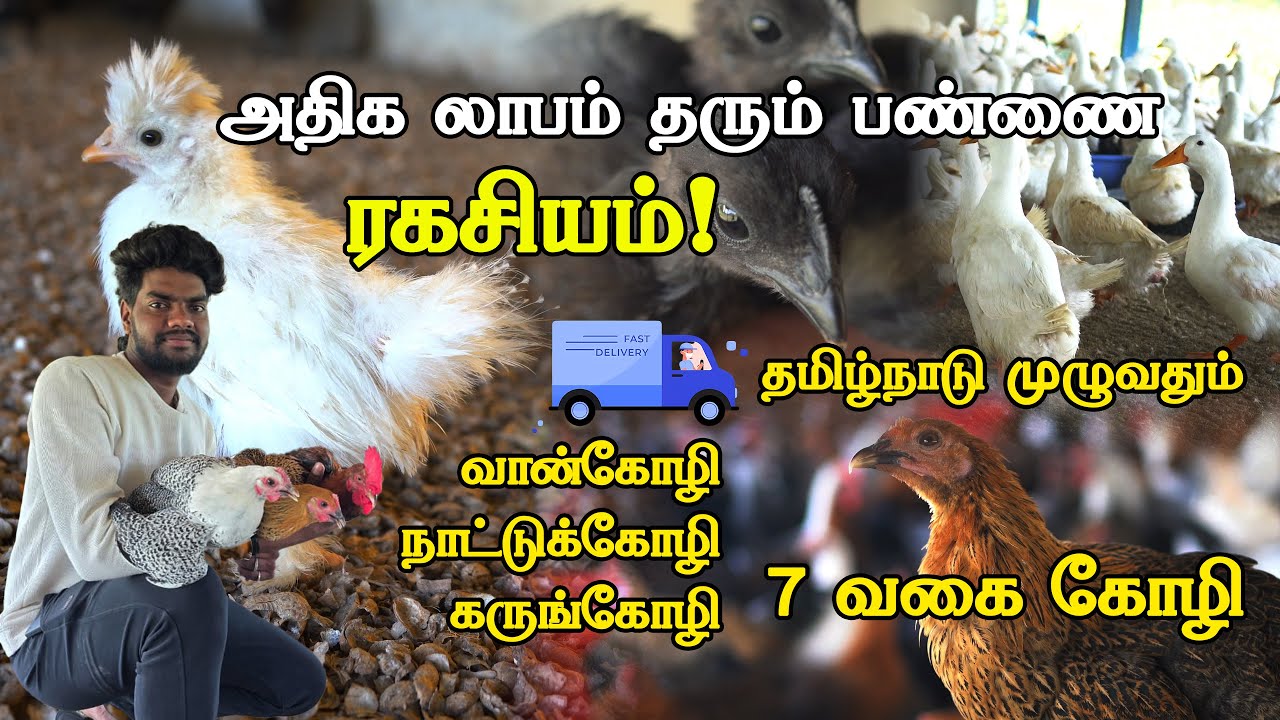 Птицеводческая ферма MPT | 7 видов кур | Гирираджа, Сонали, Чёрная курица, Подробности о птицевод...