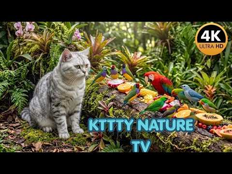 Cat TV for Cats 😺 Chipmunk and Bird Videos for Cats to Watch | No Ads | 4 Hours | 4K HDR