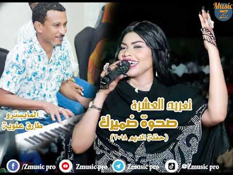 تغريد العشرة طارق علوية صحوة ضميرك تسجيل حفلة الديم 2018