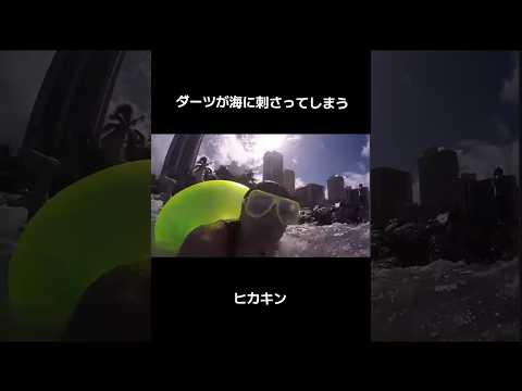 I Went Swimming In The Ocean Hikakin Hikamani Hikanichi 