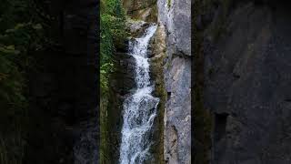 Beautiful  waterfall scene shorts short shortvideo shortsvideo shortsfeed 4k hdr 8k nature