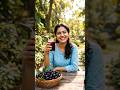 Amazing Benefits of Naval Palam 🍇#jamunfruit #diabeticpatienttips #healthylifestyle