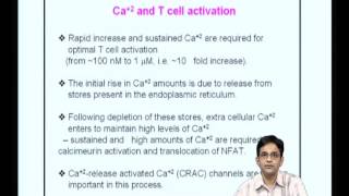 ⁣Mod-13 Lec-26 T cell Activation