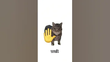 Uia Uia Cat Meme 