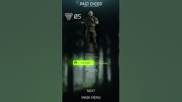 BSG What is this bug ... :)))) #escapefromtarkov #tarkov #bsg #bug #PVETARKOV #eft