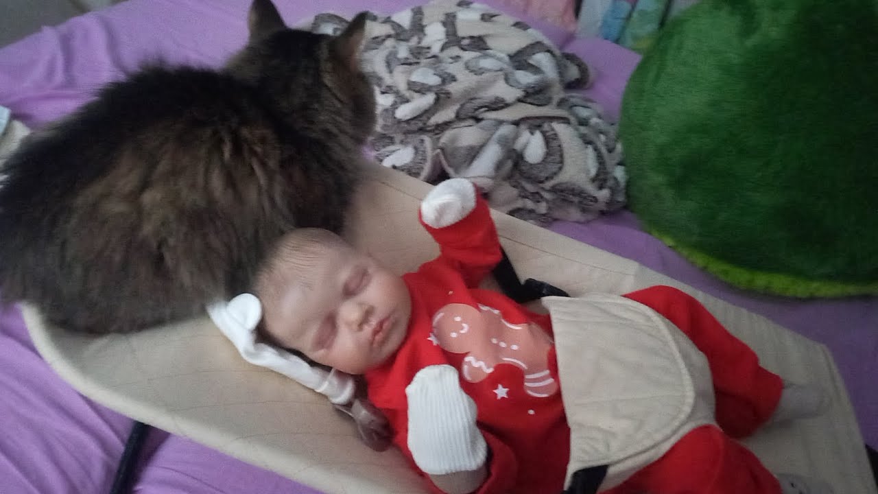 Влог с Тимом.