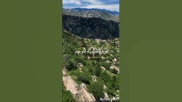 القارئ: د.ياسر الدوسري❤️ سورة الزمر آية(٢٢)
