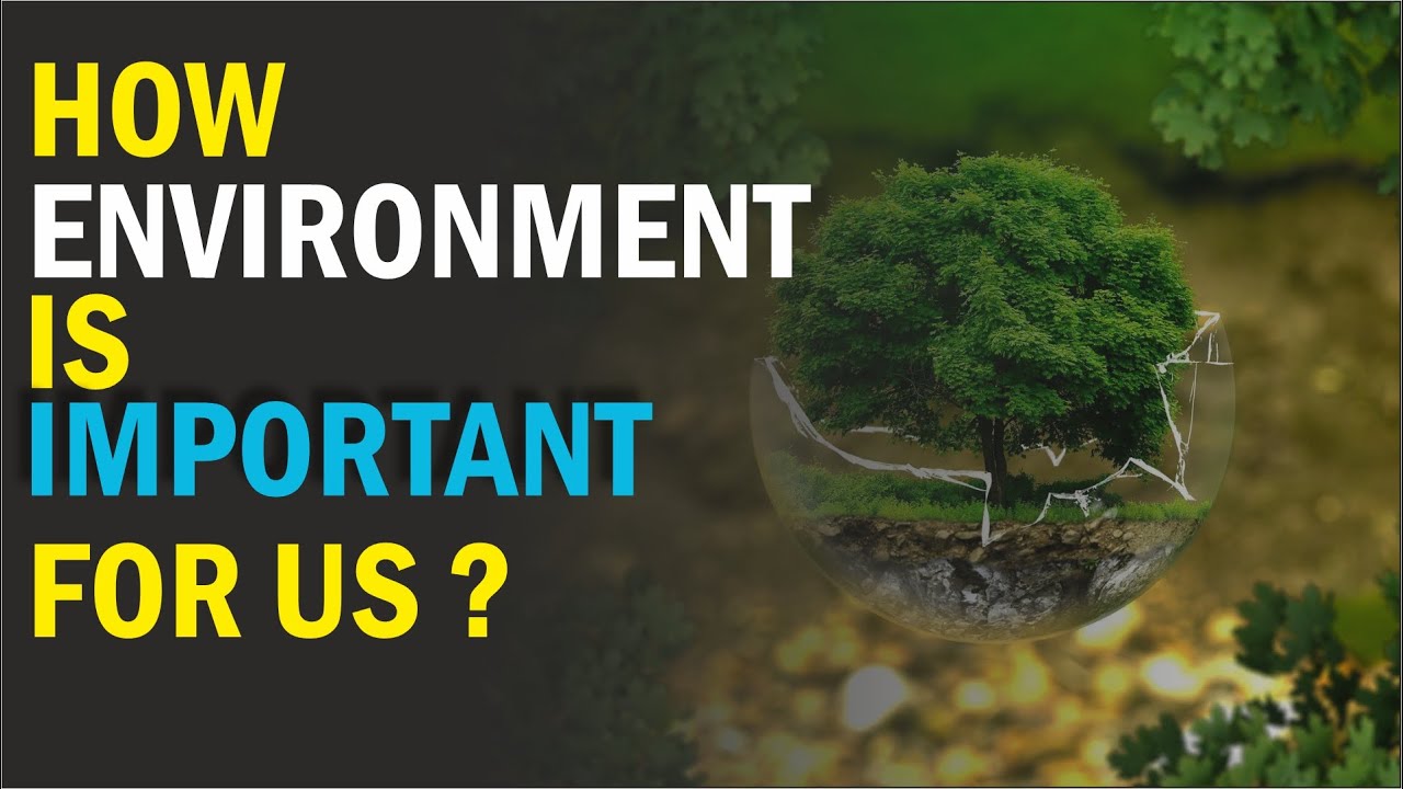 Why is environment important for us?