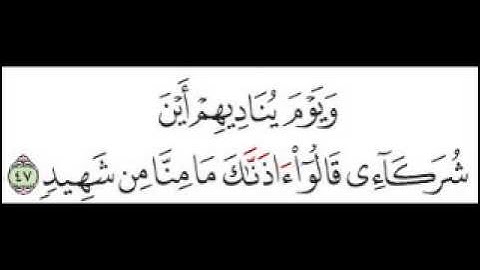 سورة فصلت الآية 47