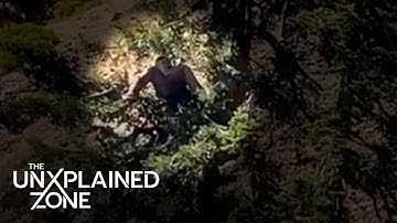 Top 4 Most Shocking Bigfoot Sightings You Need to See Compilation | The Proof Is Out There
