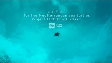 LIFE for the Mediterranean sea turtles