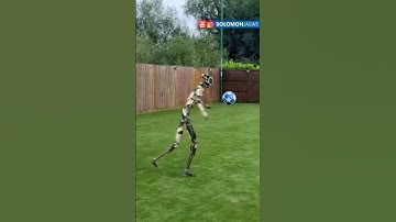 Robot Tired of Soccer with Human? 🤣 Mocap Test | NOT Real | Incredible Wonder Studio Ai  #shorts