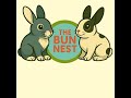 🔴 The Bun Nest - Live!