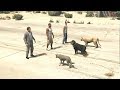 البشر ضد الحيوانات في قراند 5 GTA V