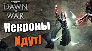 :     ?: Warhammer 40000: Dawn of War