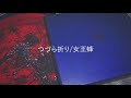 つづら折り/女王蜂 カバー