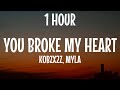 You Broke My Heart Remix Kobzx2z Myla Kryd Hoodtrap Mylancore Remix 1HOUR Lyrics 