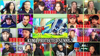 Kuma Protects The Sunny Reaction Mashup One Piece Episode 523