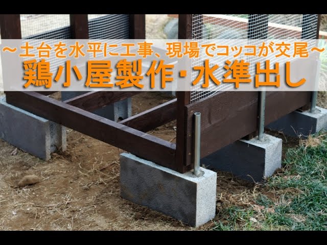 鶏小屋製作7 水準出し 特製コンクリート土台を水平に工事 現場でニワトリが交尾 Youtube
