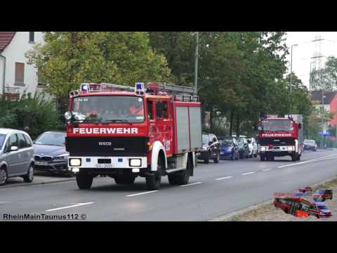 [VU] LF 16